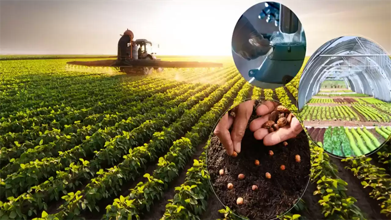 8 Milyar 737 Milyon TL Tarımsal Destek Bugün Hesaplara Aktarılıyor