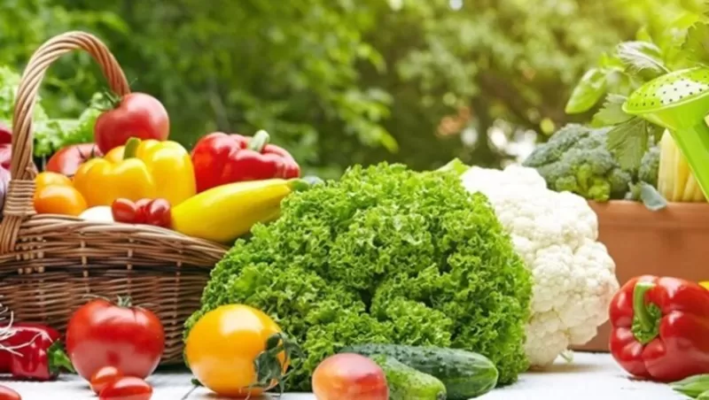 Organik Tarımın Önemi: Sağlık ve Gelecek İçin Bir Yatırım